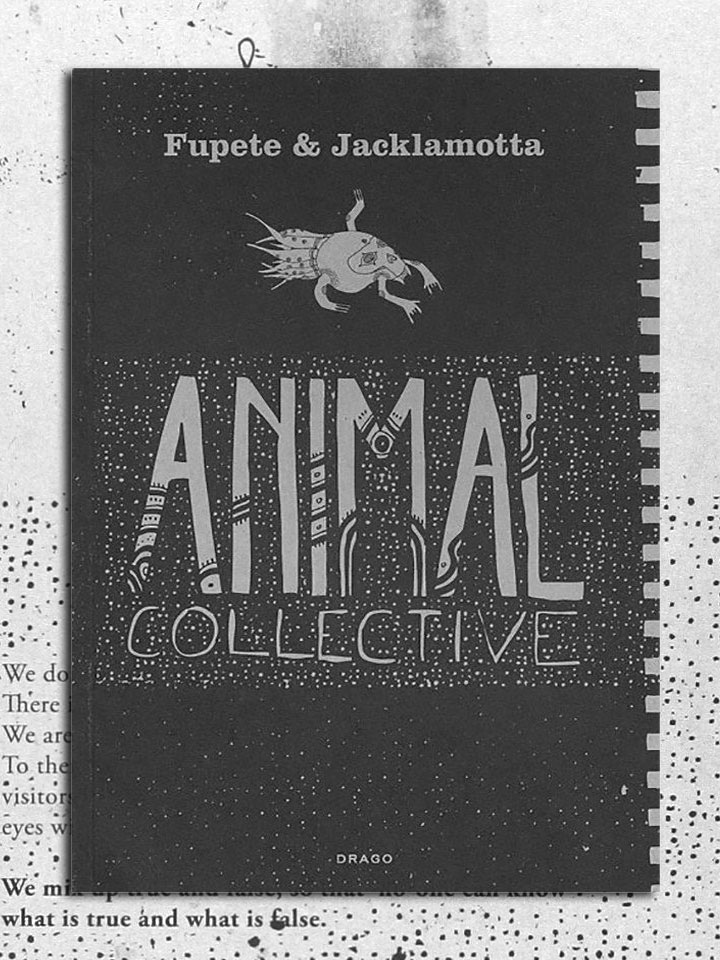 animal-collective-fronte