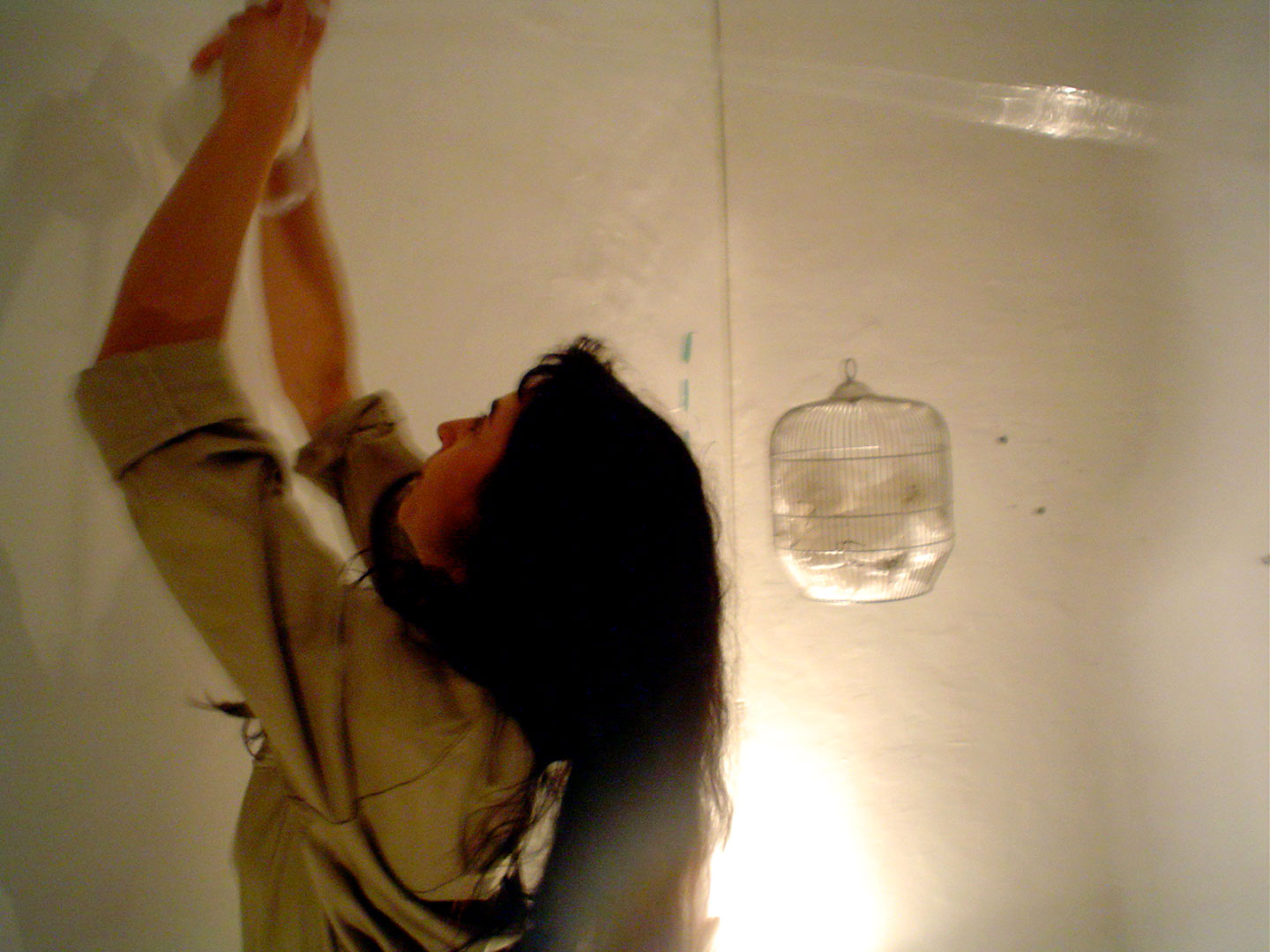 studiofupete-zantop-2006-nasonero-02