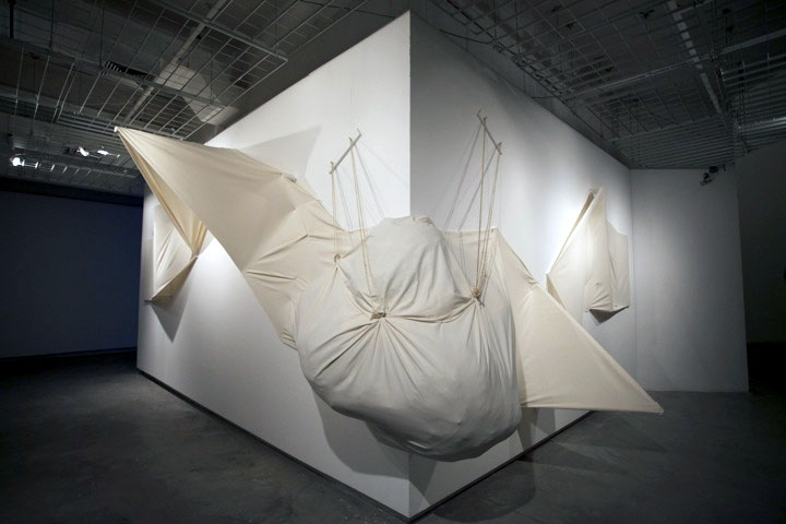 Fupete_Nova2012_stretchedcanvas_05